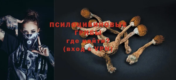 не бодяженный Абаза