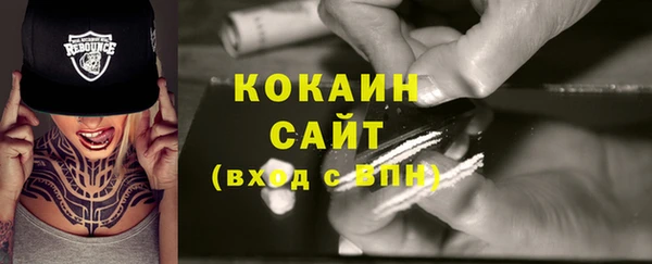 дживик Абинск