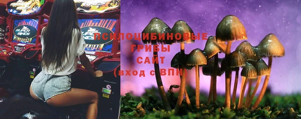 дживик Абинск
