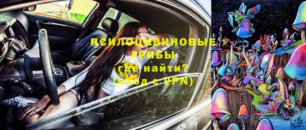 дживик Абинск