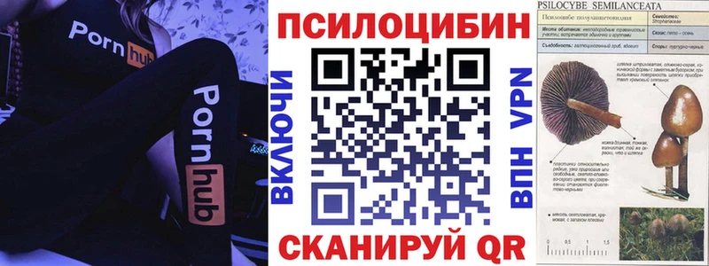 Псилоцибиновые грибы ЛСД где можно купить наркотик Шлиссельбург